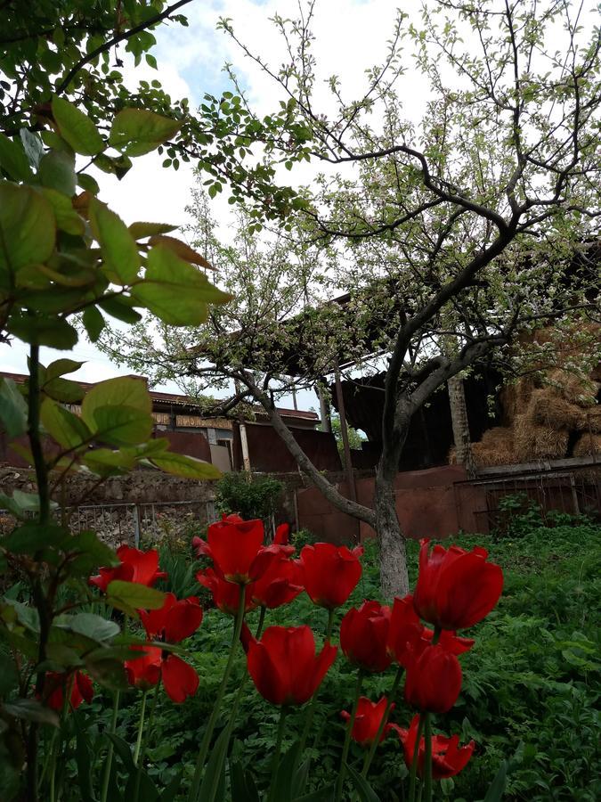 Aida Bed & Breakfast Tat'ev ภายนอก รูปภาพ