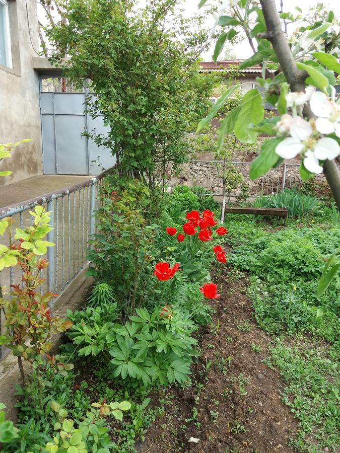Aida Bed & Breakfast Tat'ev ภายนอก รูปภาพ